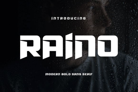 Raino: A Bold Sans Serif for Editorial Impact